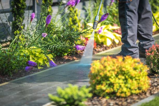 Best Factory Floor Cleaning  in Vineyards, FL